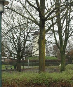 Goirle Snoei De Wilde 2 voor foto Carel van Herpt klein Professionals