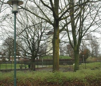 Goirle Snoei De Wilde 2 voor foto Carel van Herpt klein Professionals