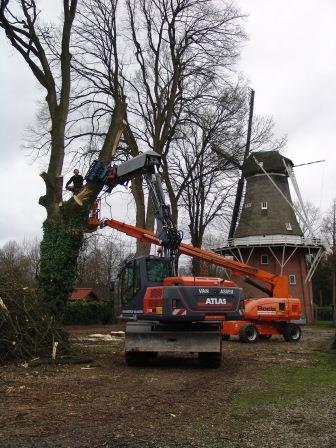 Hazewind Gieten foto Nico van den Broek klein DSC09537 Bedreigingen biotoop windmolen