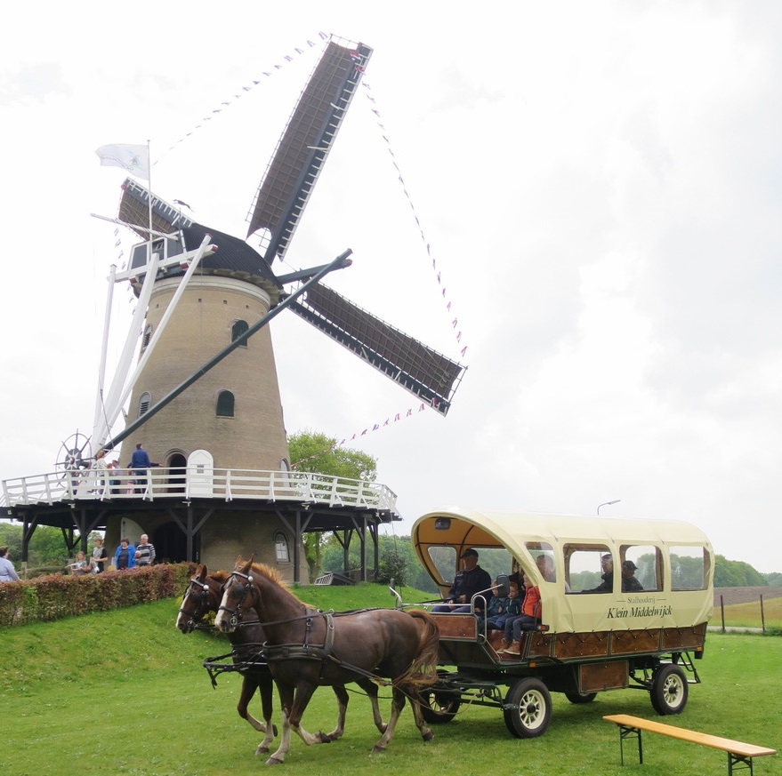 Paard en wagen 1